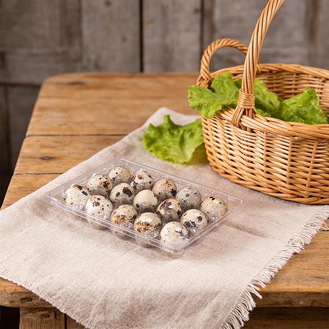 Kisangel 30pcs 15 Grids Clear Quail Egg Carton - Plastic Quail Egg Storage Holder with Lid - Reusable Dispenser Holder for Small Pigeon Pheasant Egges