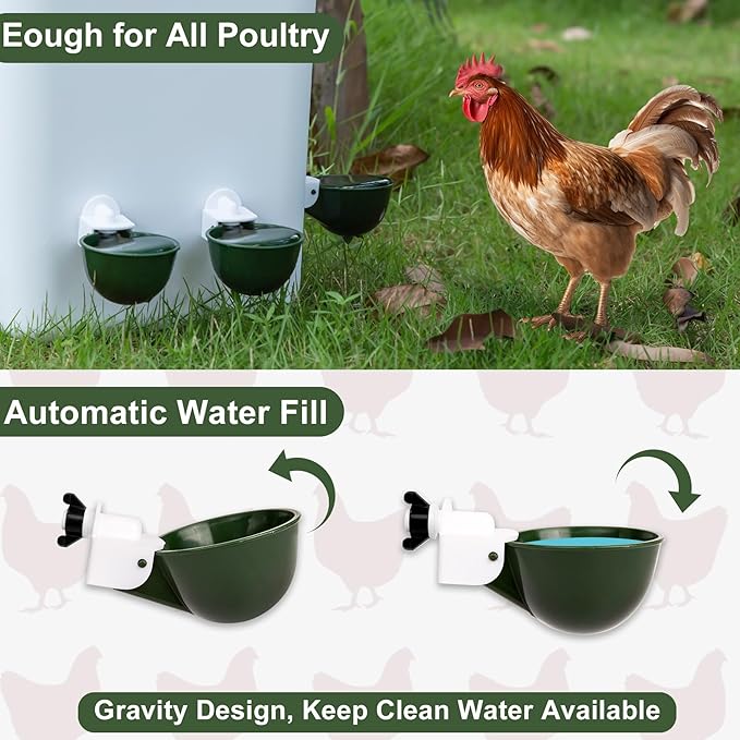 Chicken Water Cups 12 Pack, Automatic Filling Waterer Feeder Bowl, Gravity Poultry Watering System, Chicken Water Dispenser, Chicken Coop Accessories for Hens, Duck, Goose, Turkey (Green)