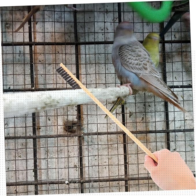 2pcs Efficient Small Bird Cage Cleaning Brush Shovel Set Pet Hair Cleaner Brush for Rabbit Cleaning Supplies Chicken Coop Cleaner