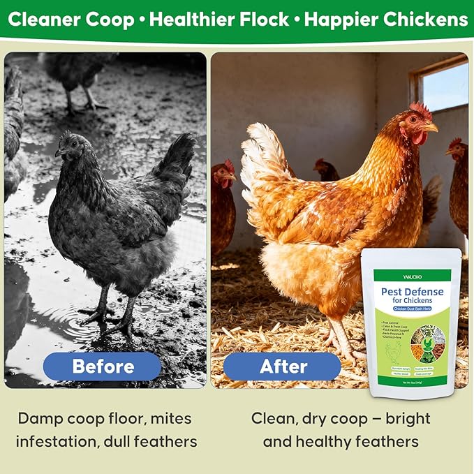 Dust Bath Herb Blend for Chickens, Feather Health Support Herbal for Chicken Coop Freshness, Natural Nesting Box Herbs for Bedding 12oz, Natural Herbal Dust Bath Powder for Hens Roosters
