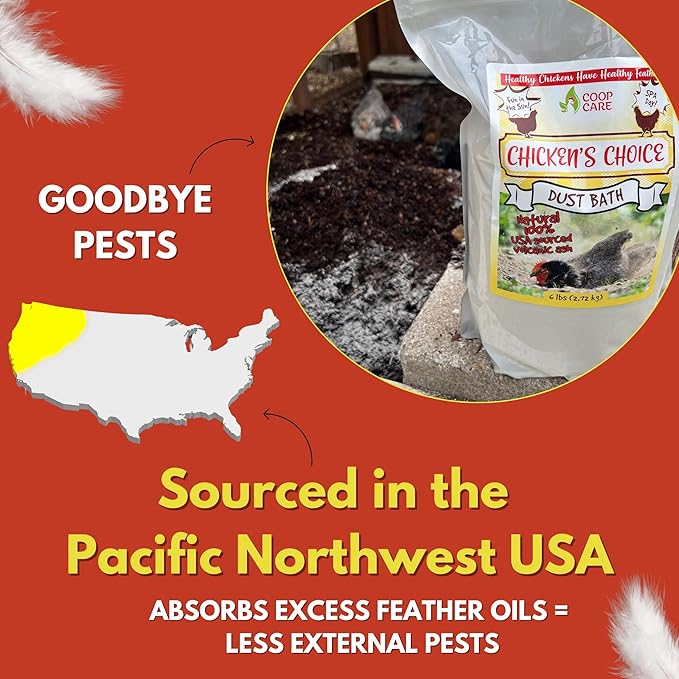 Chicken's Choice Chicken Dust Bath, 6 lb Natural Volcanic Ash Dust Bath for Chickens. Dust Mix for Healthy Chickens, Chinchillas, Small Animals. Made in The USA w/ 4 oz Coop Cleaner (Makes 32 oz)