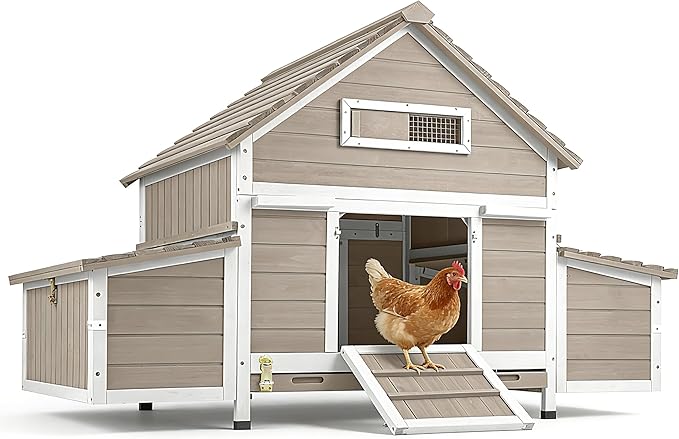 61" Large Outdoor Wooden Chicken Coop for 2– 6 Chickens Compact Backyard Weatherproof Hen House with Raised Floor, 6 Nesting Boxes, 3 Perches & Easy-Clean Slide-Out Tray