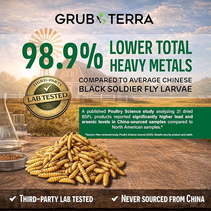 GrubTerra Black Soldier Fly Larvae for Chickens – Dried BSFL Poultry Treat, High Protein Calcium Feed Supplement for Laying Hens, Backyard Chickens, Sourced from Mexico, Not from China - 1LB