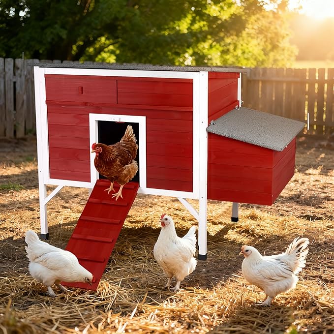 Outdoor Chicken Coop Weatherproof Wooden Hen House Small Animal Pet Hutch with Asphalt Roof Elevated Legs Removable PVC Layer Above Nest Box Pull-Out Tray