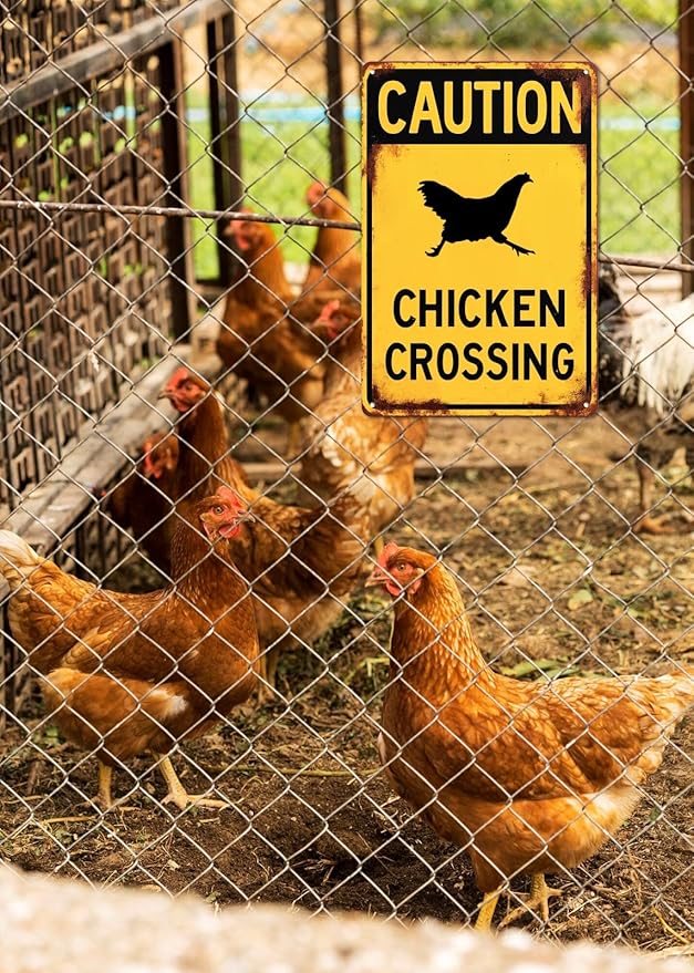 Caution Chicken Crossing Funny Warning Tin Sign Funny Farmhouse Security Warning Sign Vintage Metal Wall Decor Novelty Farmhouse Chicken Coop Decor 8x12 Inch