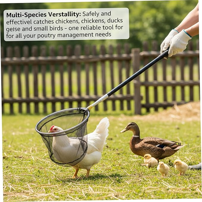 Chicken Net Adjustable Animal Net with Handle 16-60 Inch Telescoping Steel Pole with Folding Head for Catching Birds Poultry and Small Animals