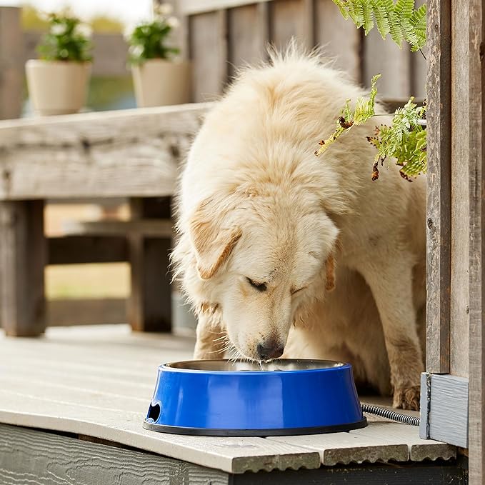 Farm Innovators Signature Series 3 Quart 40 Watt Electric Heated Pet Water Bowl with Stainless Steel Insert, Thermostatic Control, (4 Pack)