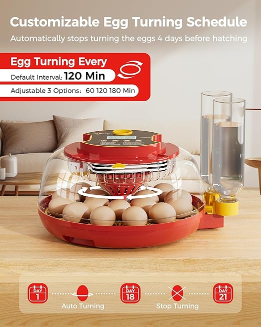 Egg Incubator, Automatic Egg Incubator, 18 Egg Incubator, Incubator for Hatching Eggs, Chicken Egg Incubator – Temperature & Humidity Control, Auto Turner, Alarm & Candling for Backyard Home