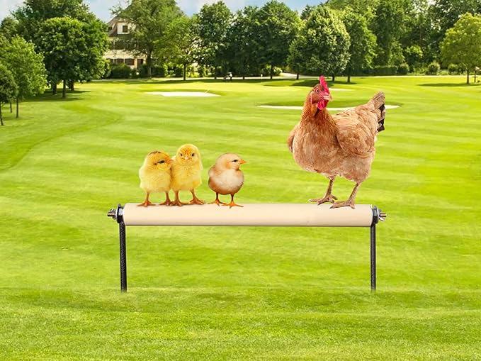 Chicken Perch Toys, Wooden Chick Perch Stand with Metal Ground Plug, Outdoor Birds Training Platform, Chicken Coop Accessories, Suitable for Poultry Rooster Chicks Large Birds Chicks Parrots