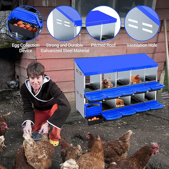 Chicken Nesting Box 10-Hole Roll Away Egg Laying Box with Lid, Galvanized Steel Rustproof Poultry Coop Box, Easy Clean, Wall Mountable No Bracket Needed for Hens, Blue