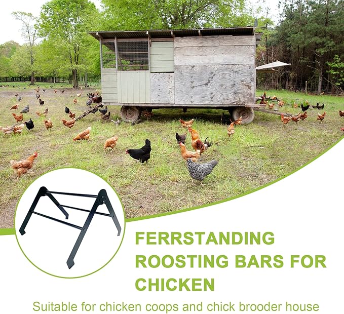 Chicken Roosting Bars for Coop – Adjustable Stainless Steel Chick Perch and Ladder for Poultry, Chicks and Birds, Easy to Install and Clean, Ideal for Coops, Farms, and Backyard