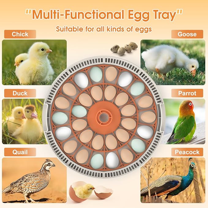 HOWOOIUA 30 Egg Incubator with Automatic Egg Turning, Temperature Control and Humidity Monitor Incubators for Hatching Eggs, Chicken, Ducks, Goose, Pigeon, Quail, Parrot Incubator for Farm, Lab