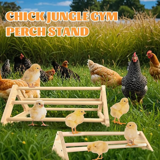 2 Pcs Long Pine Wooden Chick Perch Set, Strong Pine Wood Roosting Bar with Holes | Brooder & Coop Accessories, Jungle Gym Fun Toys for Baby Chickens