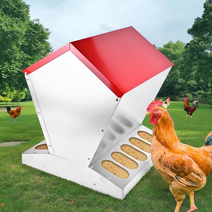 shengyi 11.5-55lbs Galvanized Chicken Feeder - Rat Proof Poultry Feeder with Lid Weatherproof Outdoor Coop Food Dispenser (55lbs 15.7x15.7