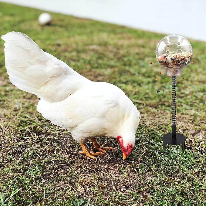 Oooct 2 Pack Chicken Pecking Toys with Swing Feeder, Coop Slow Feeder Toy for Chickens, Chicks, Ducks, Hens, Parrots & Poultry Enrichment
