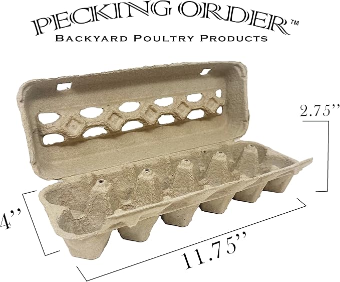 Paper Pulp Egg Cartons - 50 Pack