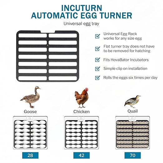 Incubator Warehouse HovaBator 2370 Starter Egg Incubator Kit (Add Quail Tray, Add HumidiKit)