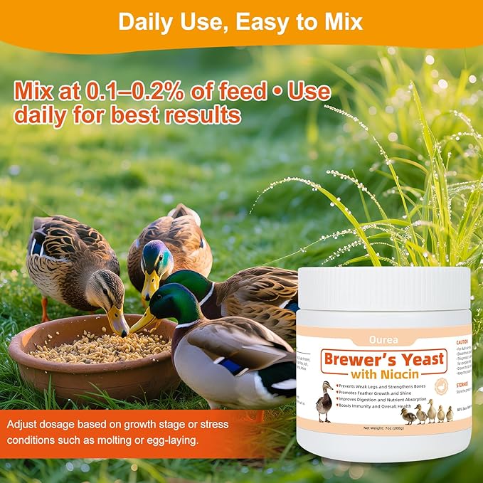 Ourea Brewer's Yeast with Niacin for Ducks, Supports Immunity Molt Recovery Severe Stress, Vitamins B Protein Amino Acids Supplement to Support Legs Bone Feather Health Growth Digestion for Duckling