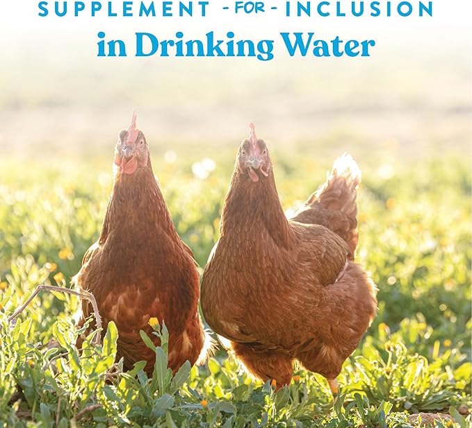 Manna Pro Hydro-Hen Poultry Electrolyte & Probiotic Supplement, Hydration Support for Chickens, Ducks, Turkeys & Waterfowl, 20 oz