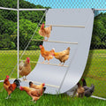Chicken Coop Poop Hammock Waterproof and UV with 8pcs Ball Bungees Cords, 6.5 * 4 FT Poop Deck for Chicken Roosting Perch to Catch The Chicken Poop, Chicken Coop Tarp for Poultry（Not Include Perch