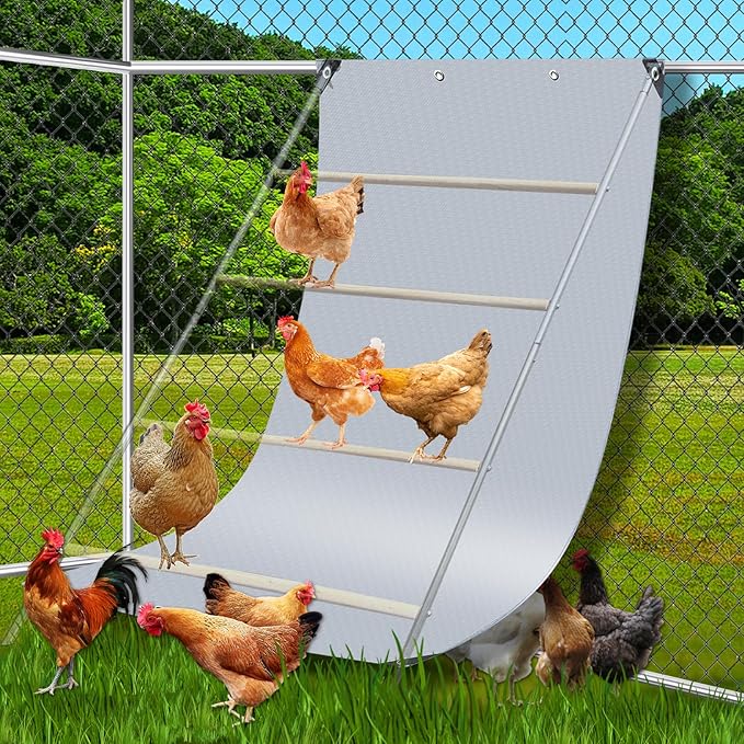 Chicken Coop Poop Hammock Waterproof and UV with 8pcs Ball Bungees Cords, 6.5 * 4 FT Poop Deck for Chicken Roosting Perch to Catch The Chicken Poop, Chicken Coop Tarp for Poultry（Not Include Perch