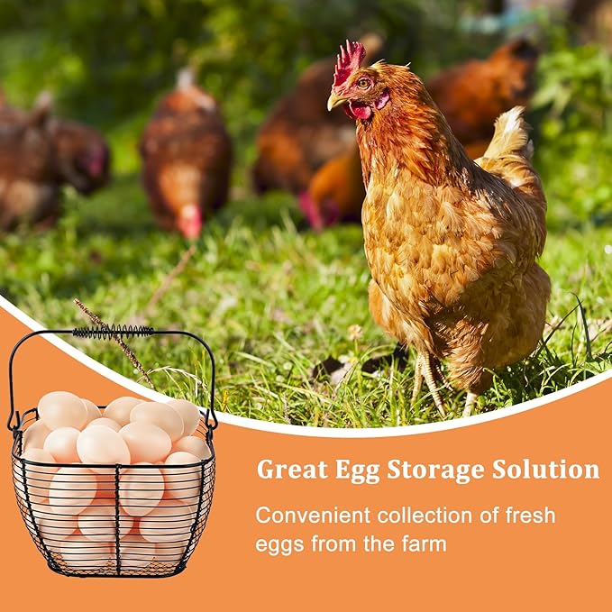 2 PCS 7" Black Square Wire Egg Baskets for Fresh Egg With Handle, Small Metal Collecting Basket for Gathering Fresh Eggs, Chicken and Duck Eggs Hunting Basket Egg Holder Countertop