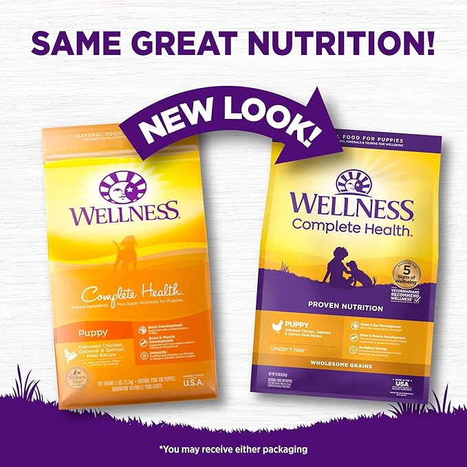 Wellness Complete Health Puppy Dry Dog Food, Wholesome Grains, Natural, Chicken, Oatmeal, & Salmon Recipe, (15-Pound Bag)