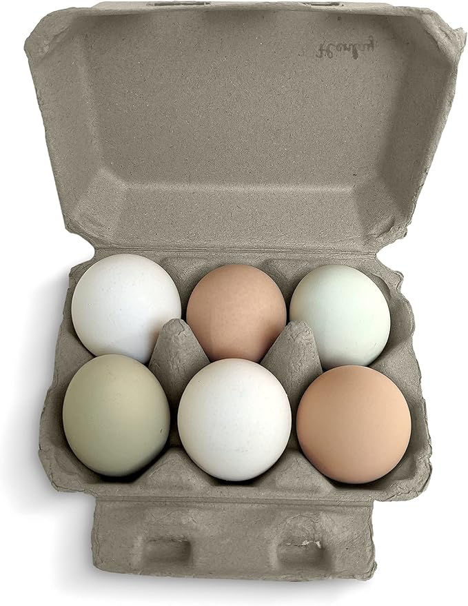 Half Dozen Blank Egg Cartons – Flat Top Half-Dozen Holder, Recyclable Pulp, Ideal for Farm-Fresh Eggs, DIY Custom Labeling, Eco-Friendly Storage - 20 Pack
