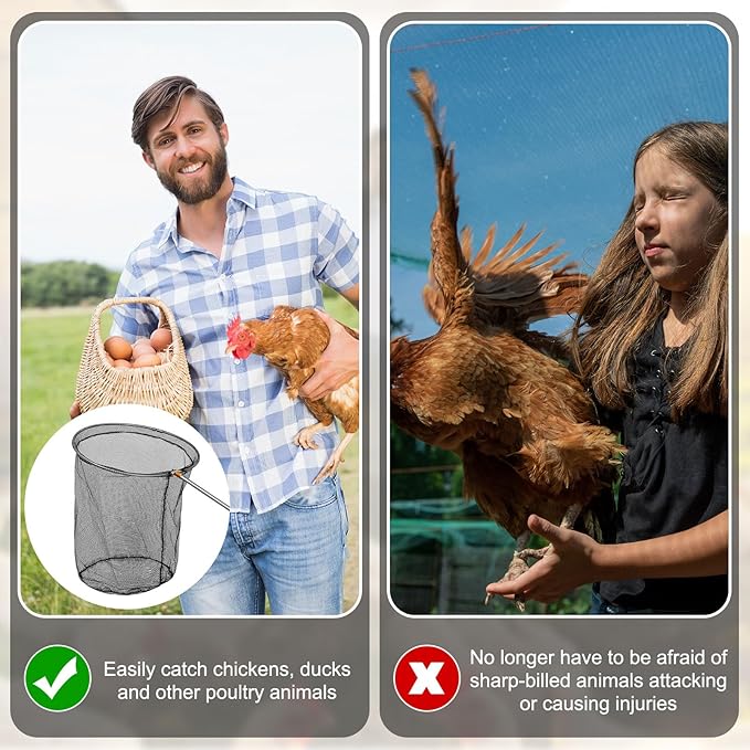 Windyun Chicken Catcher Poultry Catch Net with Stainless Steel Telescopic Pole for Outdoor Poultry(15.75 x 17.72 Inch Net with 4.92 ft Pole)