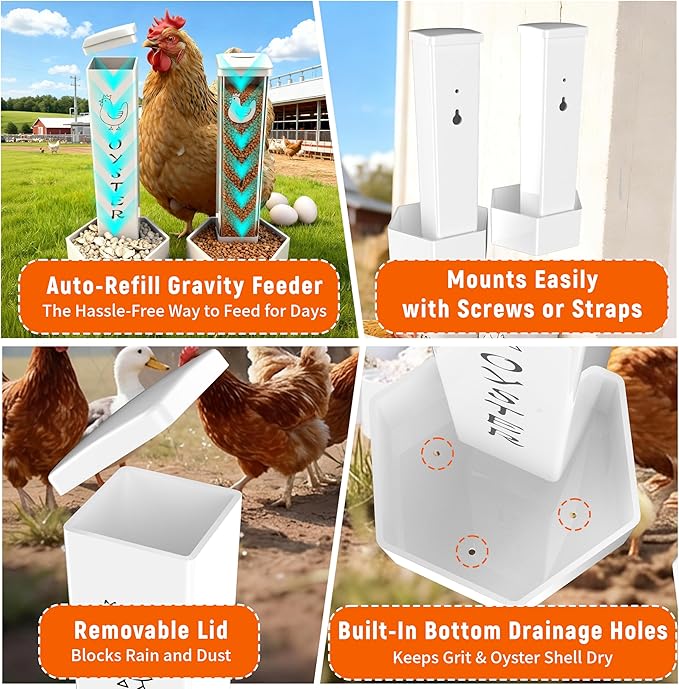 Chicken Grit and Oyster Shell Feeder, 2 Pack Hanging Wall Mount Chicken Feeder Combo, Waterproof ABS Automatic Gravity Poultry Feeder with Lid Rounded Edges, Coop Accessories for Healthier Hens & Eggs