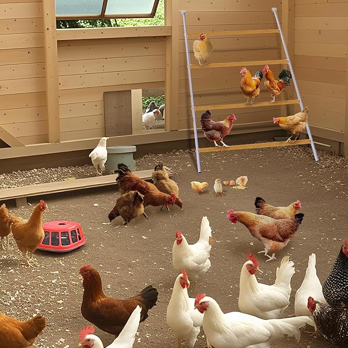 Chicken Perch for Coop, Heavy-Duty Roosting Bars for Chicken in Coop, Sturdy Poultry Ladder for Hens, Perfect for Backyard Poultry, Easy Assemble & Clean