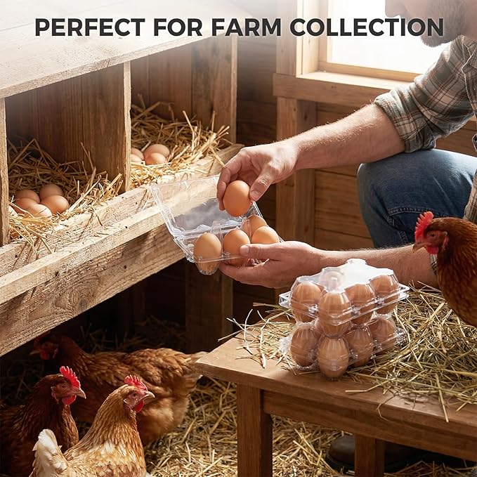 HANSGO 60 PCS 6 Count Plastic Egg Cartons Bulk, with 60PCS Date Labels, Clear Stackable Egg Holder for Fresh Medium Eggs Storage, Perfect for Farm, Family, Markets Display