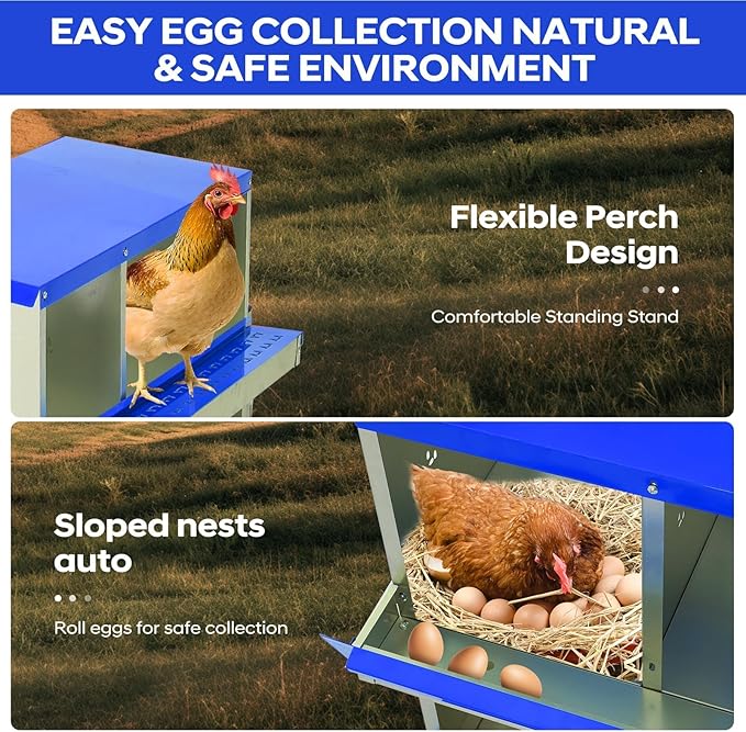 Secure & Durable Build - Heavy-Duty Galvanized Steel Chicken Nesting Box - 6 Compartments, Wall-Mounted, Easy Egg Collection & Cleaning, Blue, 84.5x42x90.3cm, 6 Compartments