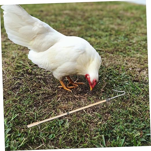 Kisangel Heavy Duty Poultry Catcher Hook for Efficient Chicken Handling Versatile Tool for Farms and Animal Capture Animal Safety Design