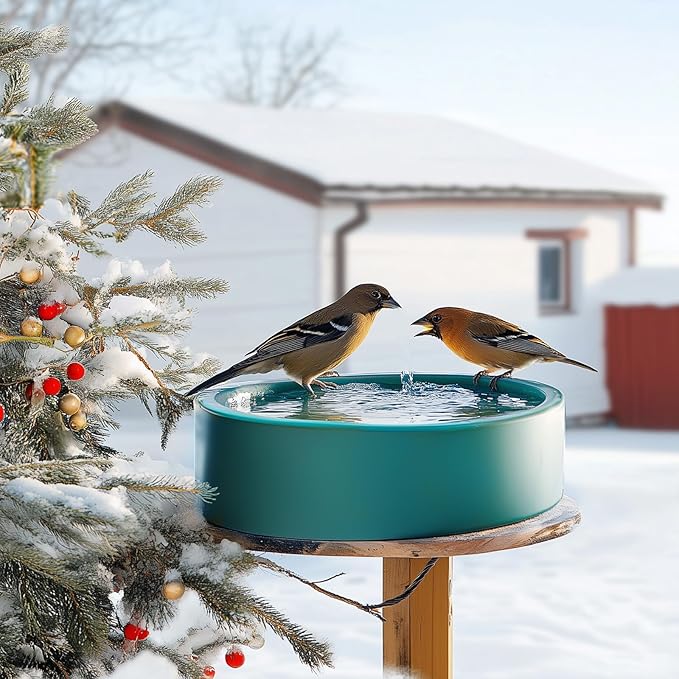 Heated Waterer for Chickens,108OZ Capacity Poultry Water Heater for Chicken Coop Hens Turkey Goose Duck Pigeon Poultry Birds Dog Cat Pet Drinker in Winter