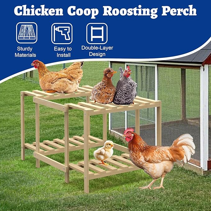 Chicken Perch, Unique Chick Jungle Gym, Strong Roosting Bar Chicken Ladder for Coop & Brooder, Large Chicken Supplies for Coop Accessories, Training Perch Toy for Chickens, Chick, Poultry