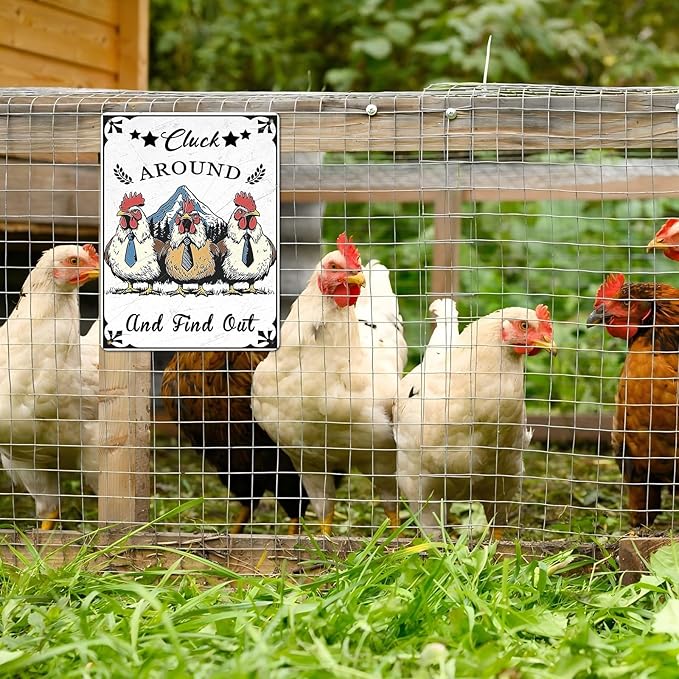 Vintage Chicken Coop Tin Sign Chicken Cluck Around And Find Out Retro Rooster Metal Poster Funny Pet Lovers Wall Art Decorations for Bar Farmhouse Garden Plaque 12 * 16inch