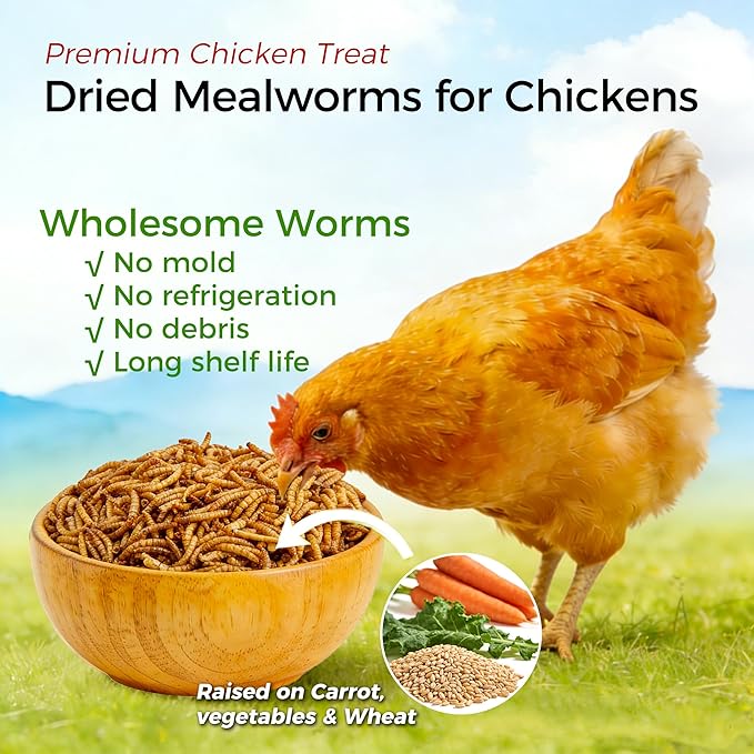 RANZ 10LBS Non-GMO Dried Mealworms for Chickens, High Protein Meal Worms, Premium Chicken Feed, Perfect Bird Food and Chicken Treats, Whole Large Mealworms for Wild Birds, Ducks, Fish