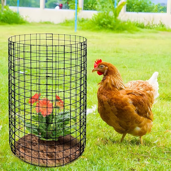 AMAGABELI GARDEN & HOME Black Hardware Cloth 1 x 1 inch 36inch x 50ft PVC Vinyl Coated Wire Mesh Roll Weld Wire Fence Chicken 16 Gauge Garden Fence Chicken Coop Wire Fencing Gopher Rabbit Tree Guard