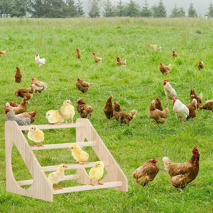 Chick Perch with Prevent Rotation Design and Strong Wooden Chicken Roosting Bar. Fun Toys for Chicks. Indoor/Outdoor Use.
