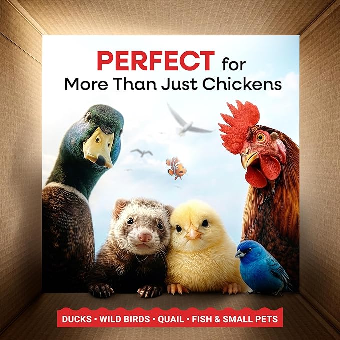 Dried Mealworms 100% Non-GMO 5 Lb - Mealworms for Birds, Chickens, Ducks - Perfect High-Protein Treats - Whole Large Meal Worms, Dried for Chickens and Bluebird Food Bulk