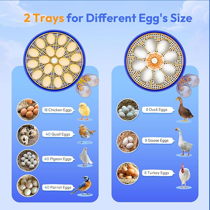 18 Egg Incubator with Automatic Egg Turning and Humidity Control, Incubators for Hatching Eggs, Chicken, Ducks, Goose, Pigeon, Quail, Parrot Incubator for Farm, Lab, Home