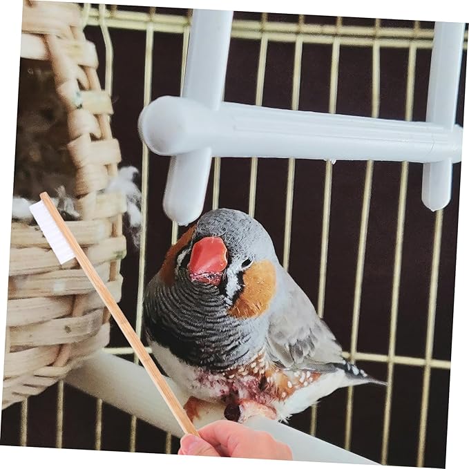 BESTonZON 2Pcs Bird Cage Cleaning Brush Set Efficient Droppings Scoop Multi Function Cleaning Tool for Small Pet Cages User Friendly Durable Accessories for Bird Care