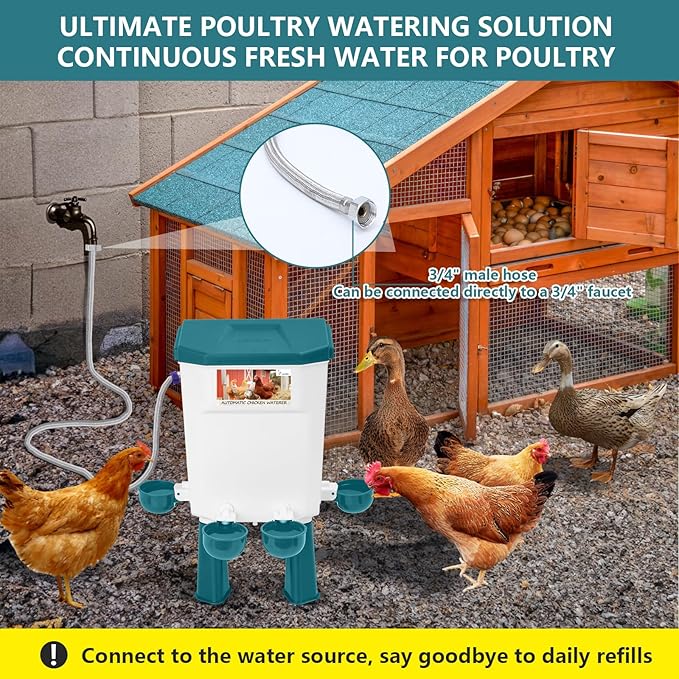 Lilyang Automatic Chicken Waterer 2 Gallon | Float-Control Auto Waterer, Hanging/Standing Design, Connect to 3/4'' Faucet & Hose, Effortless Hydration Solution for Backyard Coop & Small Farm