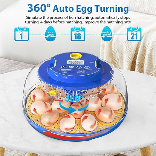 Incubators for Hatching Eggs, 18 Eggs Incubator with Automatic Egg Turning and Temperature & Humidity Control, 360° Full Viewing Eggs Candler for Hatching Chicken, Duck, Quail, Goose, Parrot