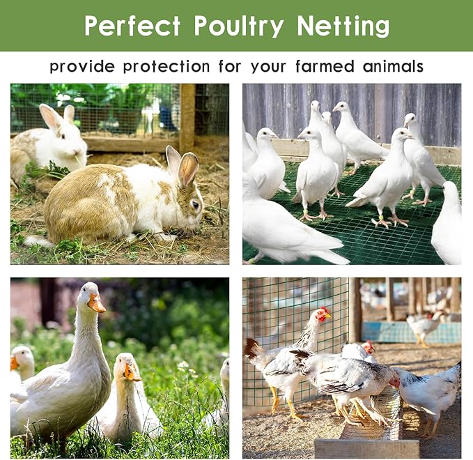 Tongmo 48" x 100' Green Chicken Wire Fencing, 19 Gauge Green Wire Fence, 1"x1" Mesh Size Metal Welded Wire Garden Fence Roll, Poultry Netting for Rabbit/Duck/Chicken
