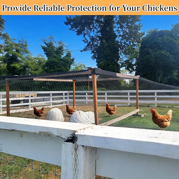 50x50ft Heavy Duty HDPE Poultry Netting,2.4" Bird Netting for Chicken Coop Run Chicken Pen,Strong Chicken Run Net Against Hawk & Predator,Tangle-Free UV Resistant (50FT)