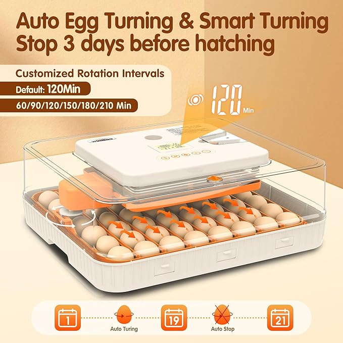 Incubator for Hatching Eggs, 56 Eggs Incubator with Automatic Egg Turning, Temperature & Humidity Control, LED Egg Candler, Incubation Days Display, for Chicken, Duck, Goose, Quail, Parrot Bird Eggs