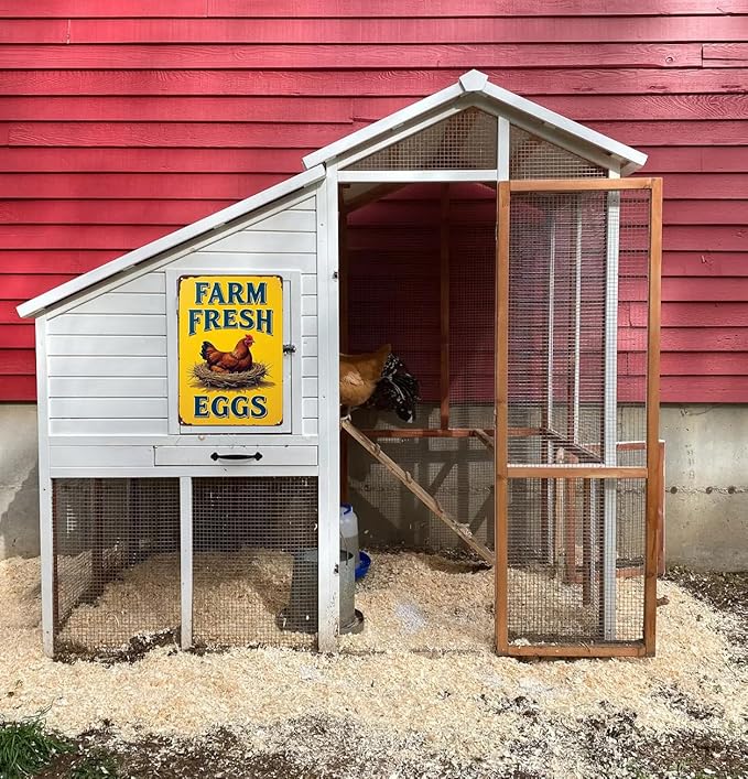 Funnysign Vintage Farm Fresh Eggs Chicken Tin Sign for Chicken Coop Farm Kitchen Garden Yard Decor 8x12 inch(3881)
