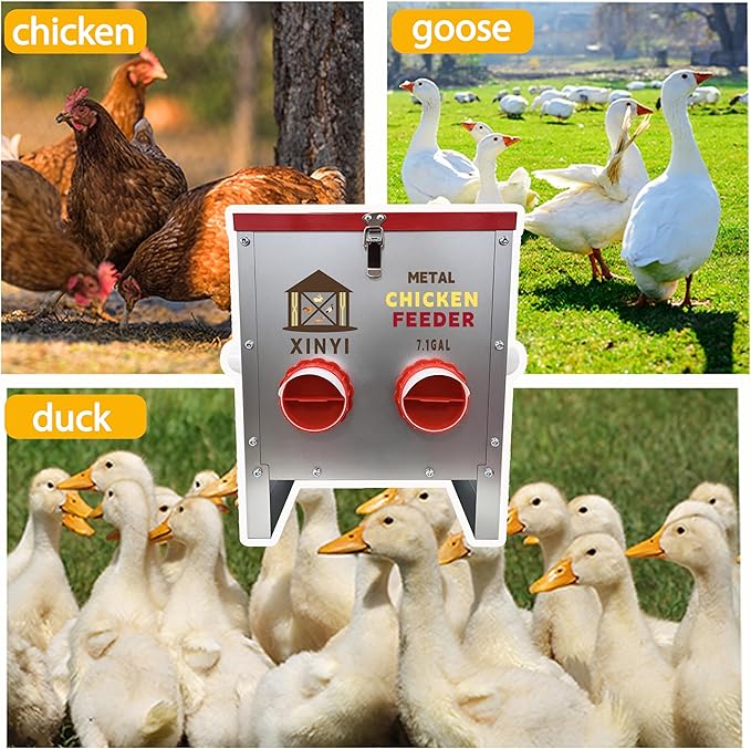 XINYI 7.1 Gallon Auto Chicken Feeder, 6 Ports Galvanized Chicken Feeder,Large Chicken Food Container No Waste & Rodent Proof Chicken Food Dispenser System, Weatherproof Duck Feeder